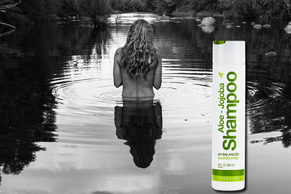 Aloe jojoba shampoing flp aloe vera de la baie