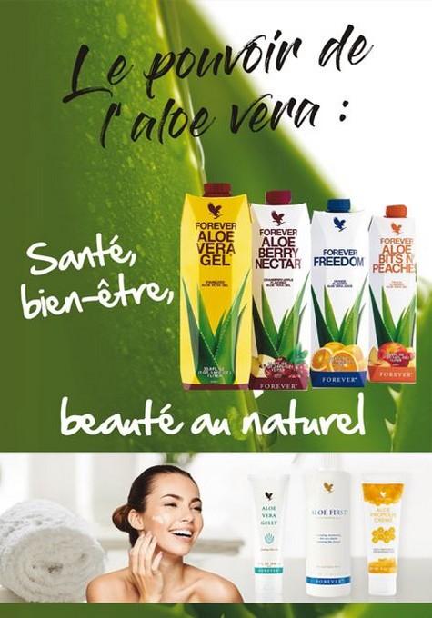 Aloe vera de la baie 2