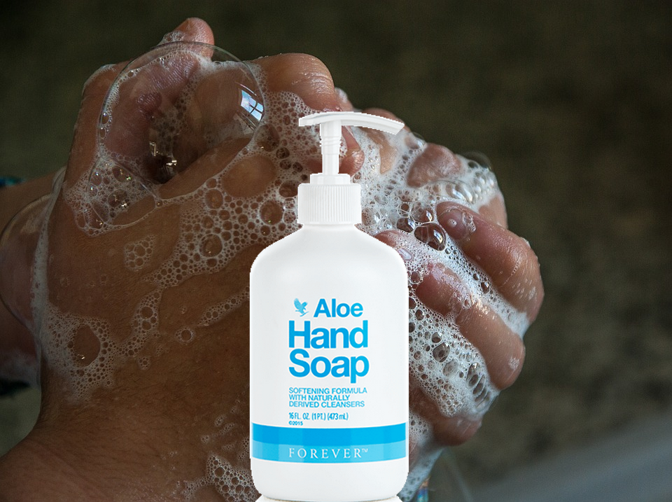Savon a main flp hand soap flp aloe vera de la baie