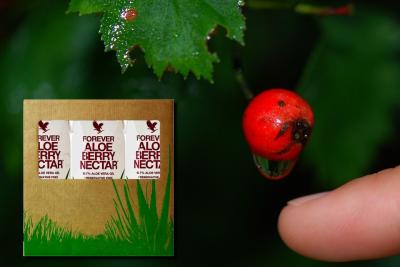 Aloe berry nectar aloe vera de la baie maryvonne dutertre flp