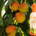 Aloepeche aloe vera de la baie maryvonne dutertre