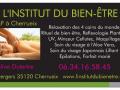 Carte visite celine l institut du bien etre