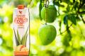 Foreve manque flp aloe vera de la baie