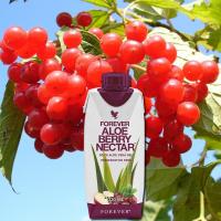 FOREVER ALOE BERRY NECTAR 330 ML X 12 REF 73512