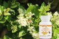 Forever bee propolis aloe vera de la baie flp 1