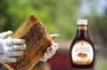 Forever mile bee honey aloe vera de la baie flp