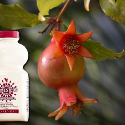 Forever pomesteen flp aloe vera de la baie