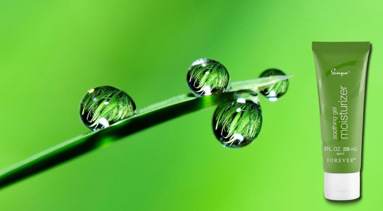 Gel hydratant sonya flp aloe vera de la baie 1