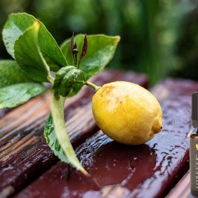 Huile essentielle citron flp aloe vera de la baie maryvonne dutertre