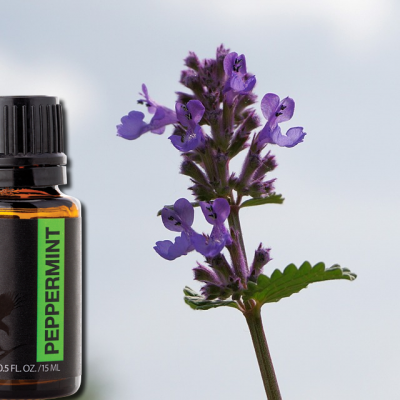 Huile essentielle menthe poivree flp aloe vera de la baie maryvonne dutertre