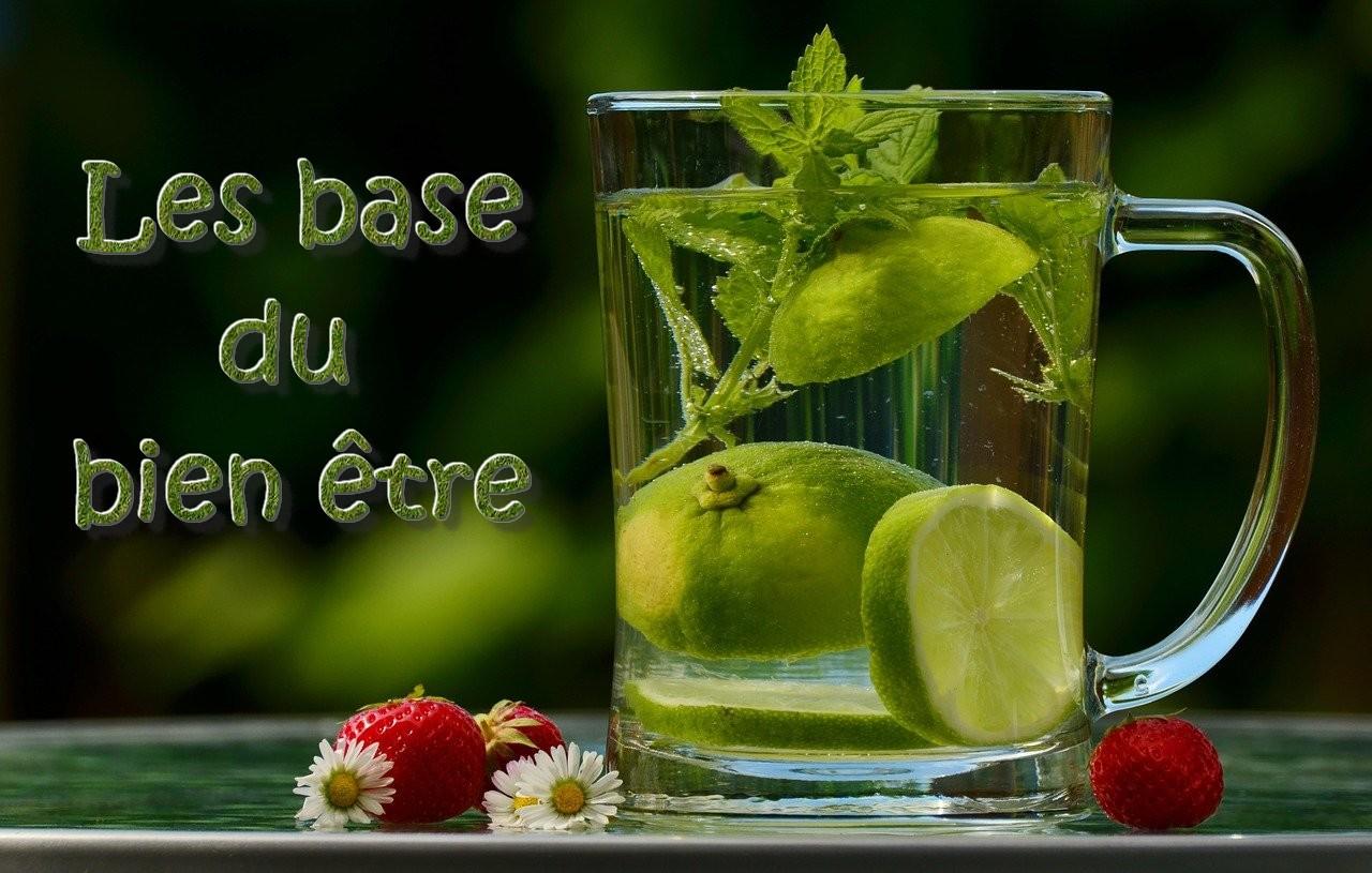 Les bases du bien etre aloe vera de la baie