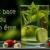 Les bases du bien etre aloe vera de la baie