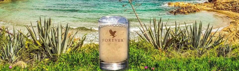 Les buvables flp aloe vera de la baie forever living products