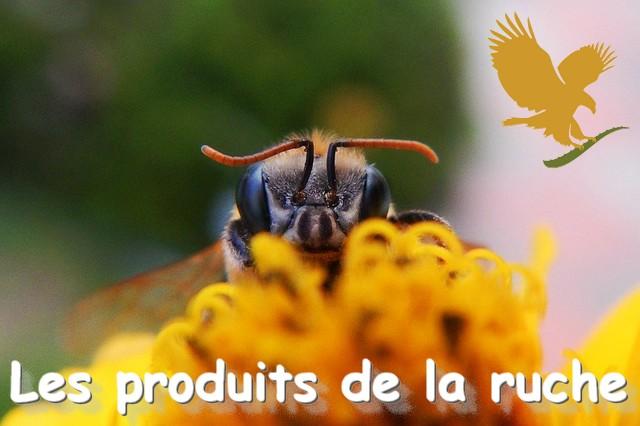 Les produits de la ruche flp aloe vera de la baie maryvonne dutertre