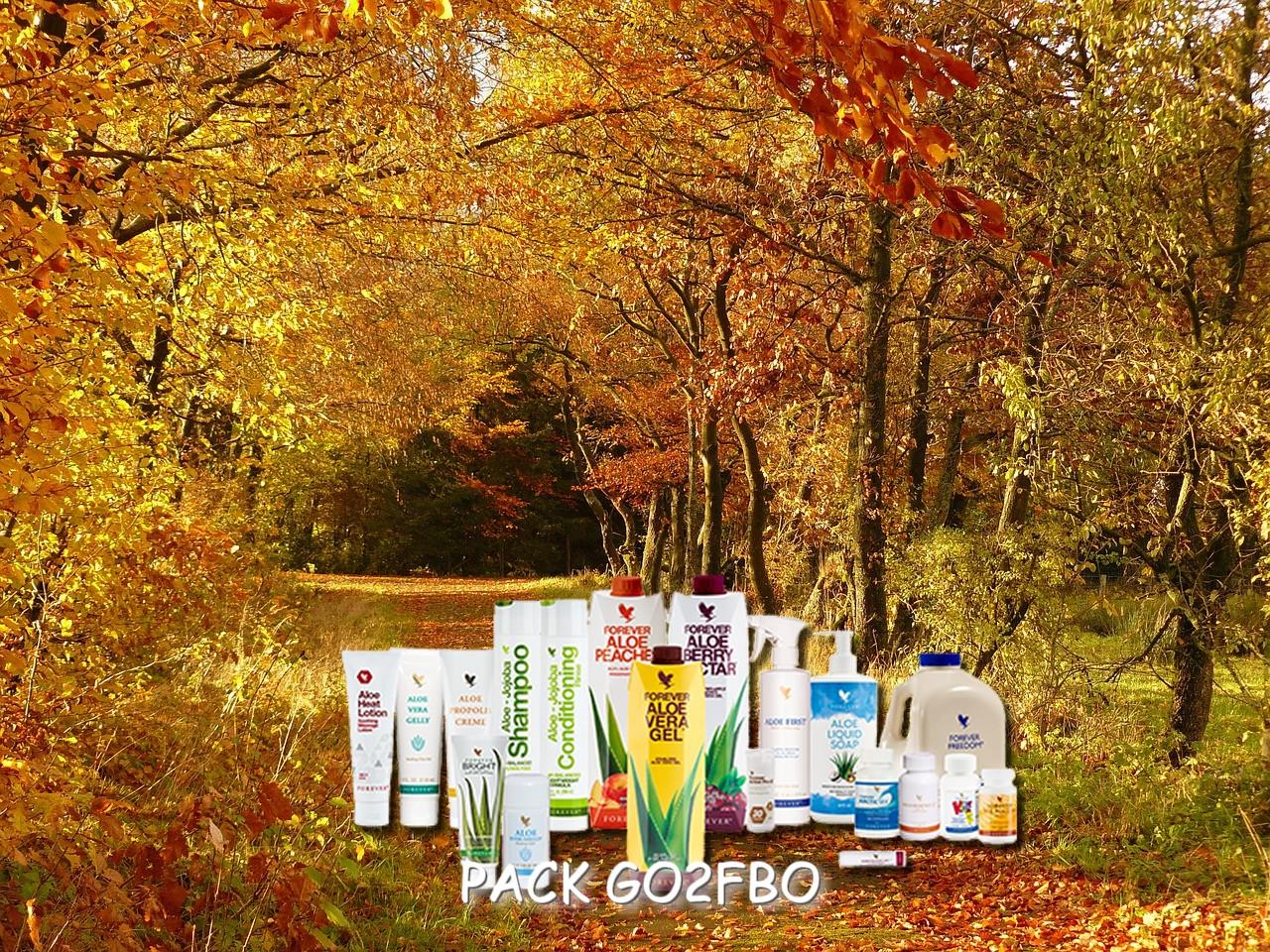 Pack go2fbo flp aloe vera de la baie maryvonne dutertre