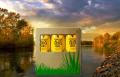 Tetrapack aloe gel maryvonne dutertre aloe vera de la baie